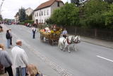 7. Stadtrodaer Strohfest 2009 - Gro&szlig;er Festumzug - IMG_4973.JPG